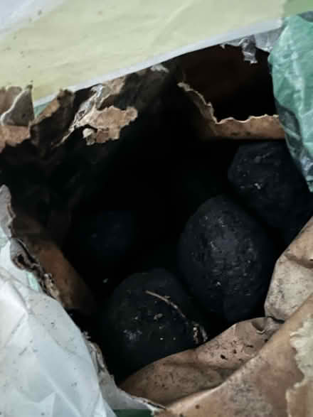 Photo of free Charcoal briquettes (Gunthorpe) #2
