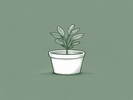 Photo of 5lt plant pots (Southstoke BA2) #1