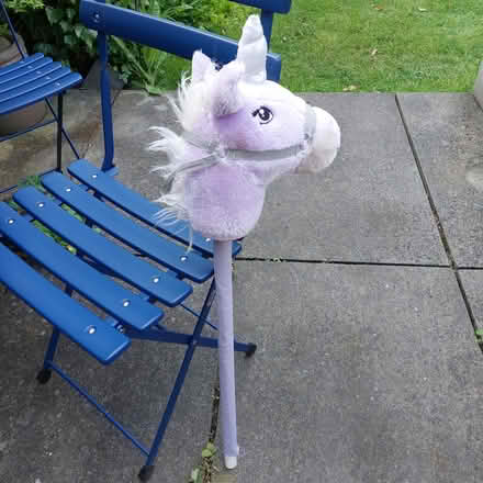 Photo of free Hobby horse/unicorn (NE6 Heaton) #1