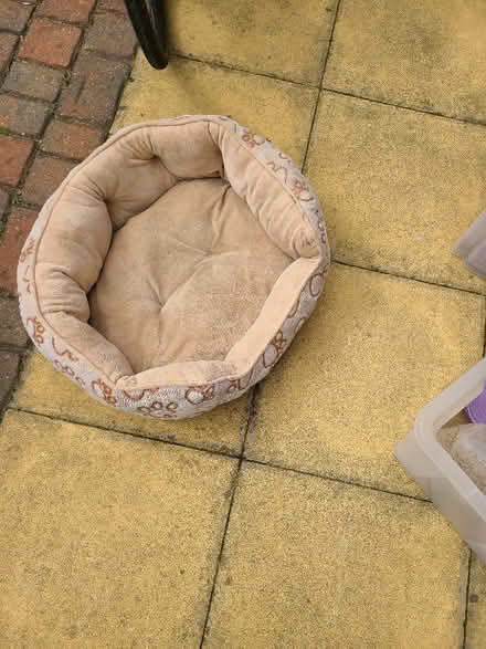 Photo of free Dog equipment (Stobhill NE61) #2
