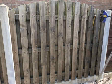 Photo of free 9 x fence panels (Sothall S20) #1