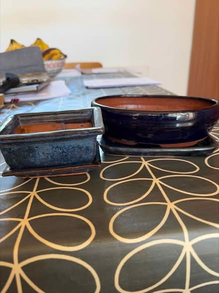 Photo of free Two Small Bonsai Dishes (Mitcham's Corner CB4) #1