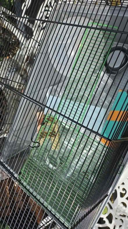 Photo of free Hamster cage (Corstophine EH4) #2