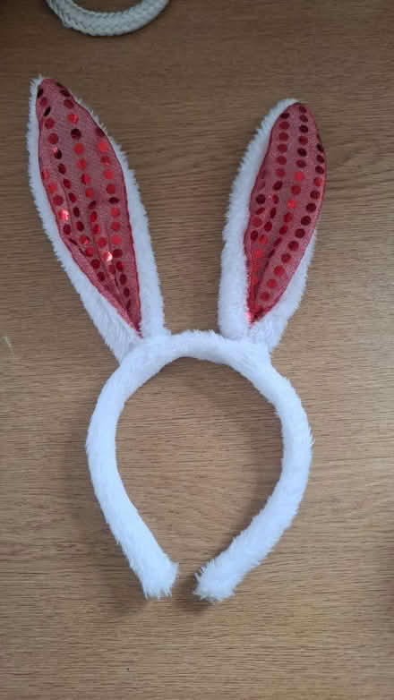Photo of free Bunny ears (Gateshead, NE8) #1
