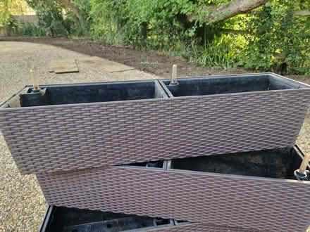 Photo of free 4 self watering window boxes (Lechuza) (Datchworth SG3) #2
