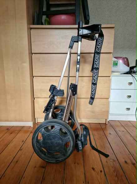 Photo of free Golf caddie (West Kensington W14) #2