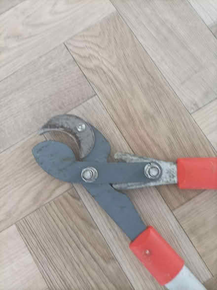 Photo of free Garden branch cutter (Bromyard) #2