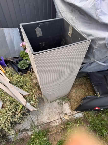 Photo of free Plant pot (CR7) #2