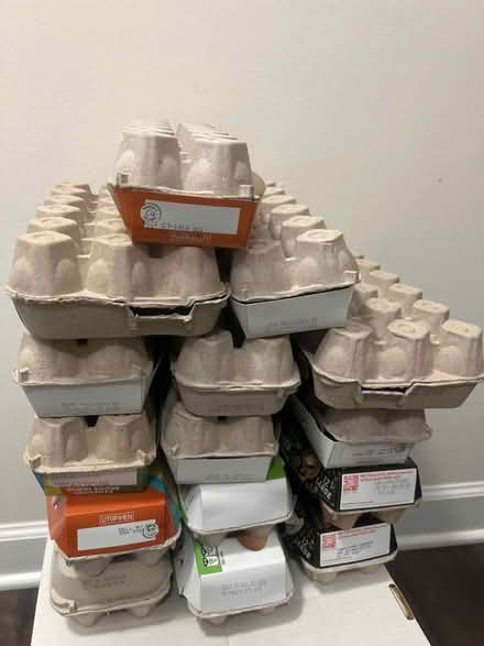 Photo of free Egg Cartons (Arlington, VA) #1