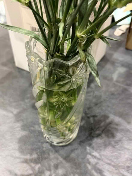 Photo of free Wine glasses (Brentford TW8) #2