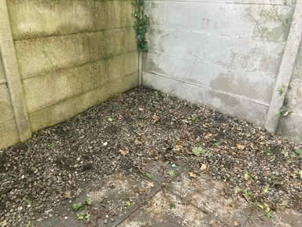 Photo of free Gravel (heaton Chapel SK4) #2