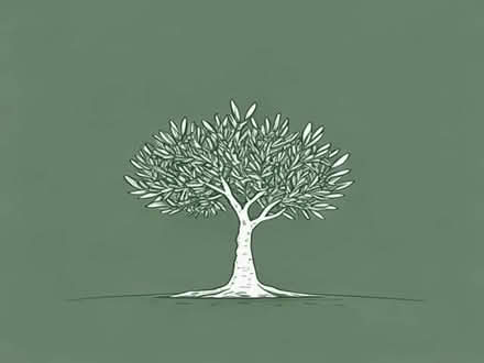 Photo of Olive Trees (Barbican PL4) #1