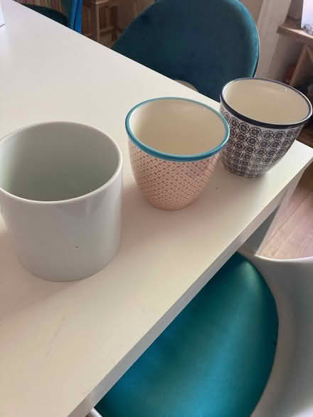 Photo of free Indoor Plant Pots (Sciennes EH9) #1