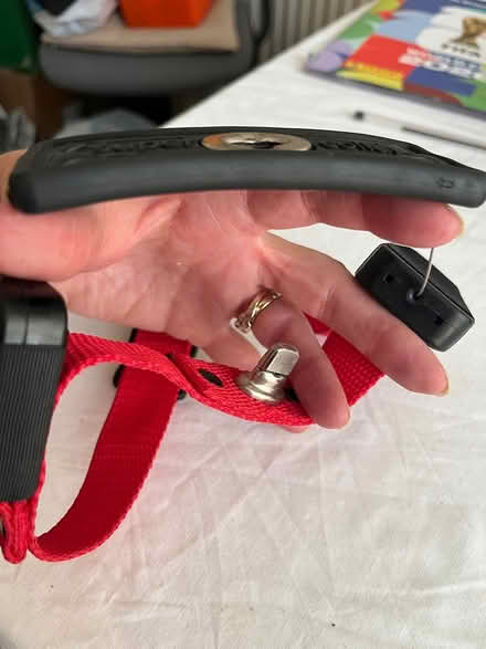 Photo of free Super dog collar/ emergency lead (Shirley, Croydon) #1