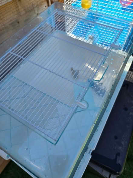 Photo of free Hamster cage 2 of 2 (Droitwich Wr9) #2