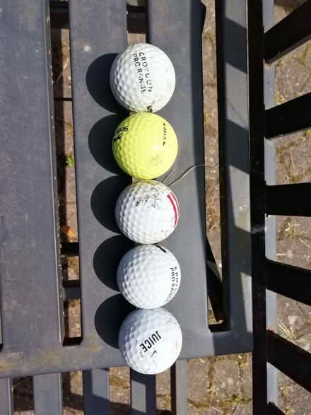 Photo of free Golf balls (Ashburton CR0) #1