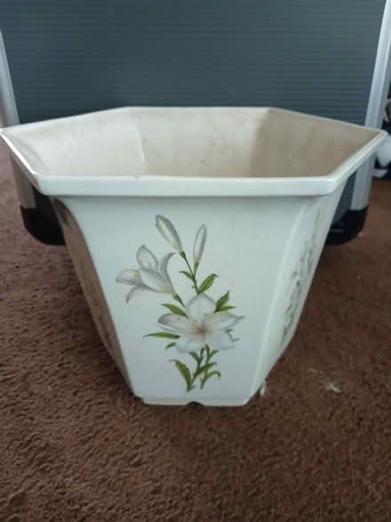Photo of free Indoor Plant pot (Addlestone KT15) #1