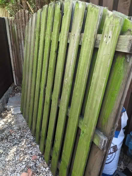 Photo of free 9 x fence panels (Sothall S20) #2