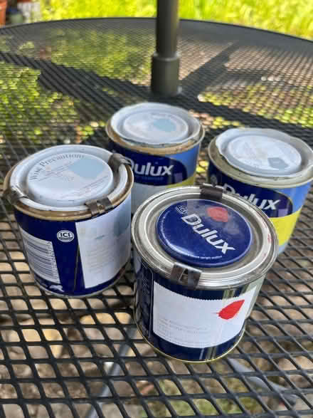 Photo of free Dulux 250ml Paint Samples Blues & Rust (Hertford Heath SG13) #1