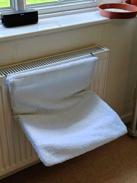 Photo of free Folding pet bed for radiators (Harrogate HG2) #1