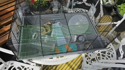 Photo of free Hamster cage (Corstophine EH4) #1