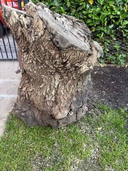 Photo of free firewood (Shrewsbury. SY3.) #1