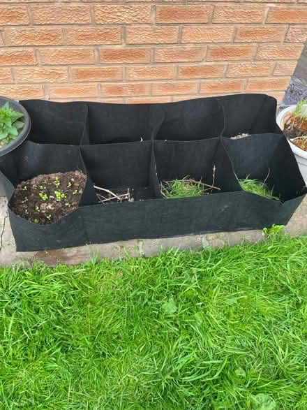 Photo of free 8 compartment planter (Westgate LA3) #1