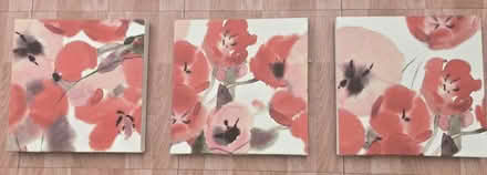 Photo of free Poppy Canvasses (Aldershot GU12) #1