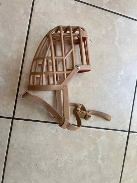 Photo of free Dog muzzle size 8 (Walton Cardiff) #1