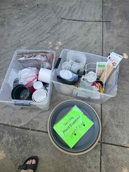 Photo of free plant supplies misc (Lafayette) #1