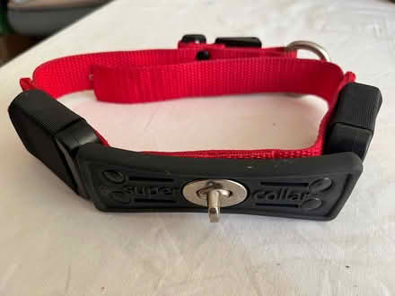 Photo of free Super dog collar/ emergency lead (Shirley, Croydon) #2