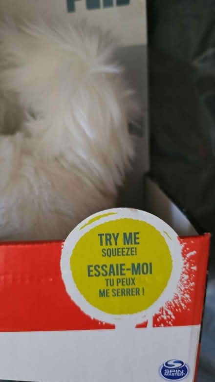 Photo of free Gidget toy (Ramsey Mereside PE26) #2