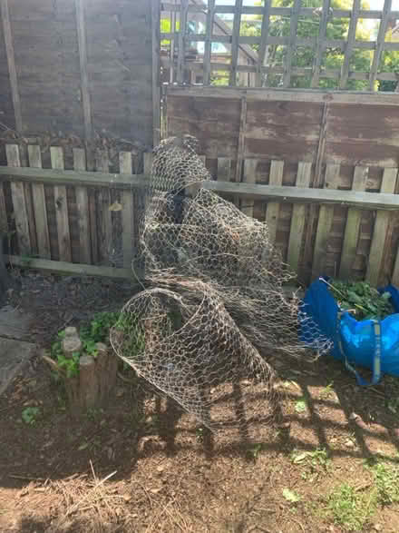 Photo of free Chicken wire (Lifford, kings Norton B30) #1