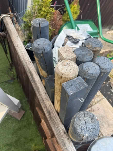 Photo of free Small posts/tree stakes (Cold Harbour OX1) #2