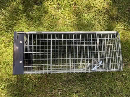 Photo of free Humane rat trap (Allerton L18) #1