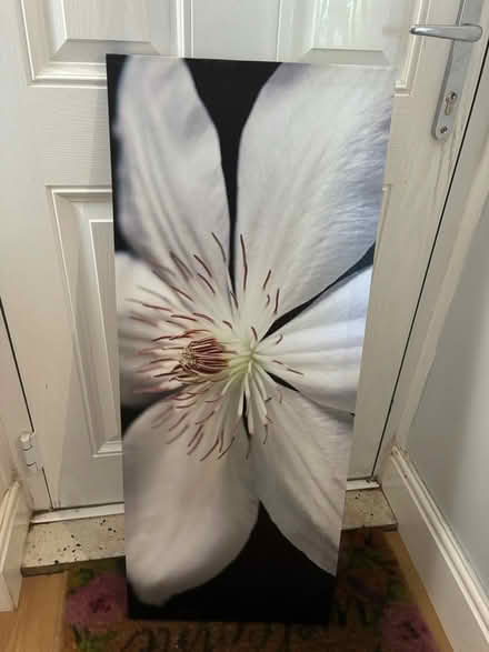 Photo of free Canvas, flower (Shardlow, DE72) #1