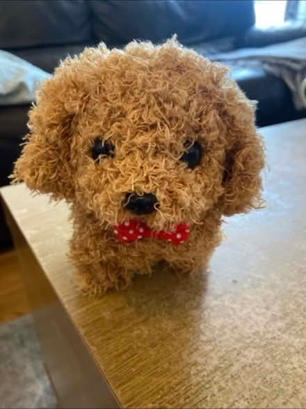 Photo of free Sounds & movement Toy Puppy (Cheshunt En8) #1