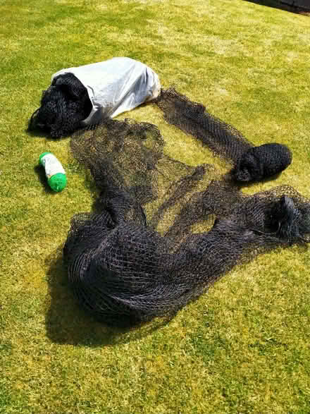 Photo of free Garden nets (Penrith CA11) #1