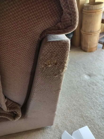 Photo of free Chair / Bed (BD8 Fairweather green) #1