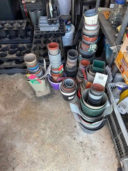 Photo of free Flower Pots & Trays (Woodgate PO20) #1