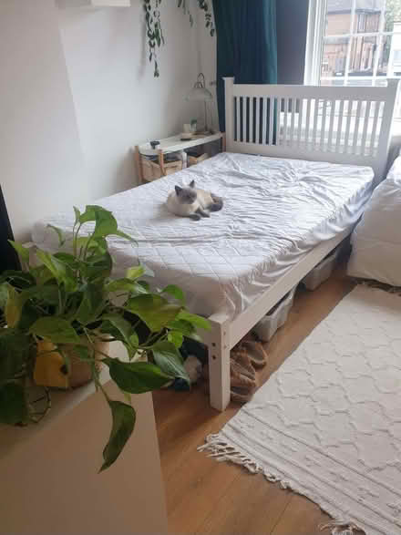 Photo of free Small double bed (Ardleigh Green RM11) #1