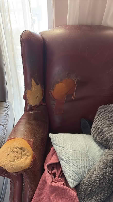 Photo of free Leather Lounge Suite (Durbanville) #1