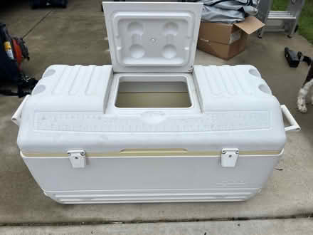 Photo of free Large igloo, cool (Cambridge MD.) #4