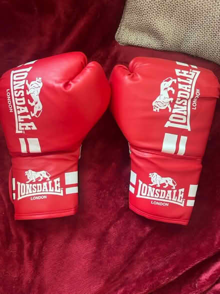 Photo of free Lonsdale Unisex's Boxing Gloves (WC1X) #1