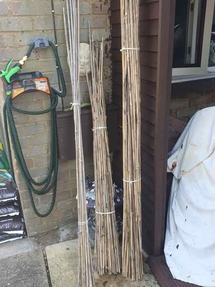 Photo of free Garden stuff (Stewkley) #2