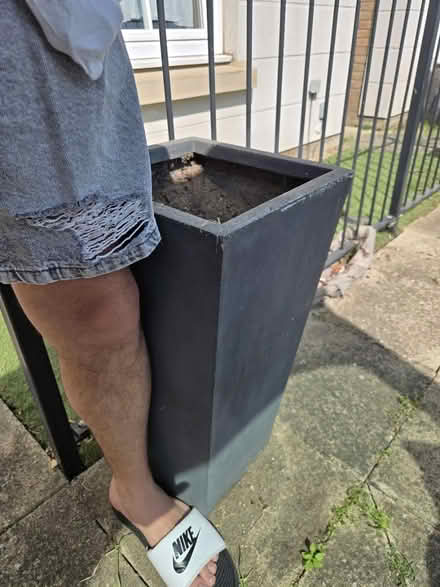 Photo of free 2 X tall planters (Erith DA8) #3