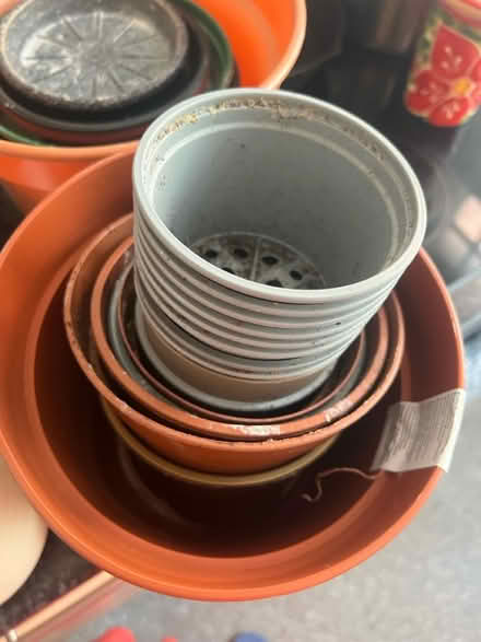 Photo of free Plant Supplies (WC1X) #2
