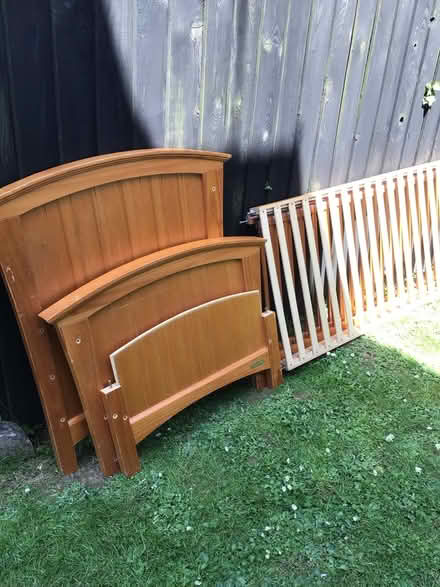 Photo of free Cot Bed (SN13) #2