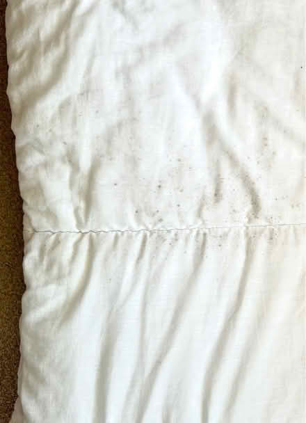 Photo of free Double size Duvet (Hall Green . B28) #2