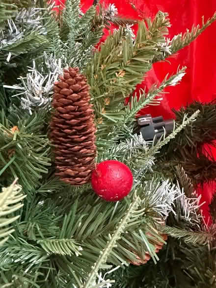Photo of free 6ft Christmas tree (Spital Meadow SL4) #2